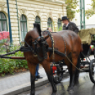 Nem számított az eső sem a szüreti felvonulóknak