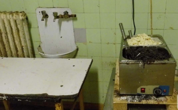 Horrorvideót tett közzé a Nébih