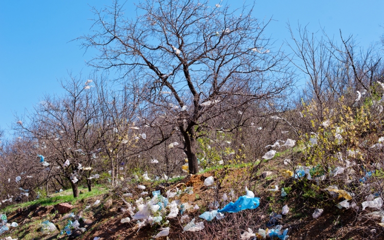 A személyiségi jog vagy a környezetvédelem a fontosabb, ha illegális szemétlerakáson kapunk valakit?