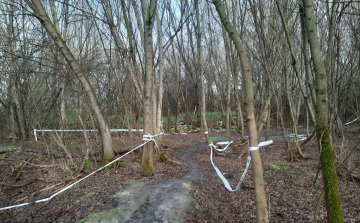 A Parkerdő könnyei