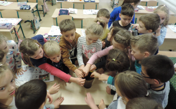 Luca, Luca kity-koty