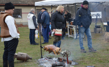 Disznótort rendeztek a Közelszőlőben