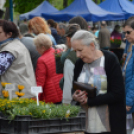 Káprázatos virágözön ékesítette Kiskunfélegyháza főterét