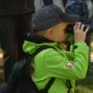 Erdőséta a madarak és fák napján