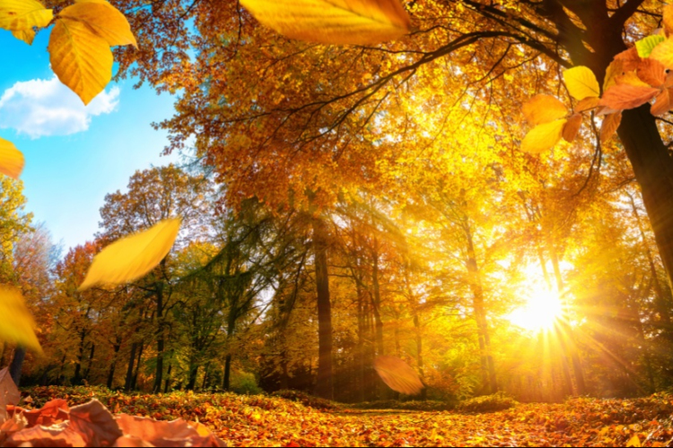 Továbbra is marad a meleg, napsütéses idő