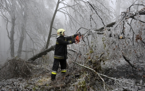 Jövő hét végére készül el a kárfelmérés az állami erdőkben