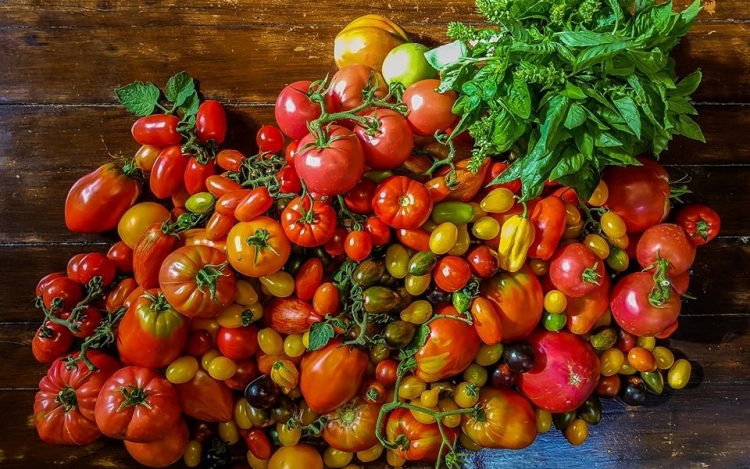 Ezért nem lehet soha nyereséges az iparosított mezőgazdaság