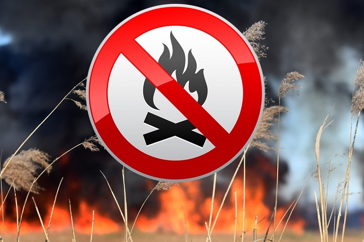 Országos tűzgyújtási tilalmat hirdetett a Nébih