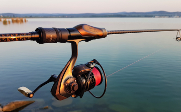 Pecabotokat lopott a félegyházi férfi