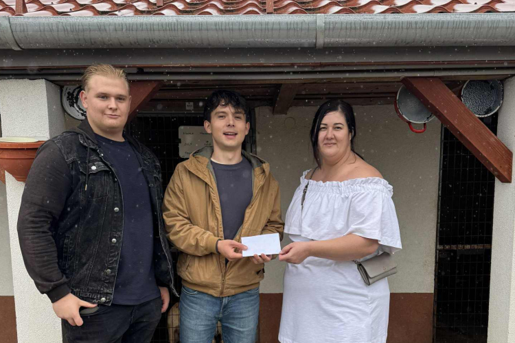 A kutyákért matekoztak