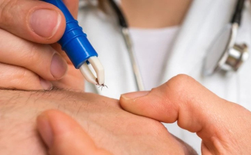 Áttörés jön a Lyme-kór diagnózisában