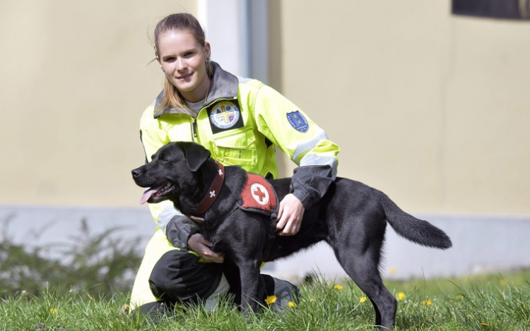 Magyar mentőkutya a világ legjobbjai között