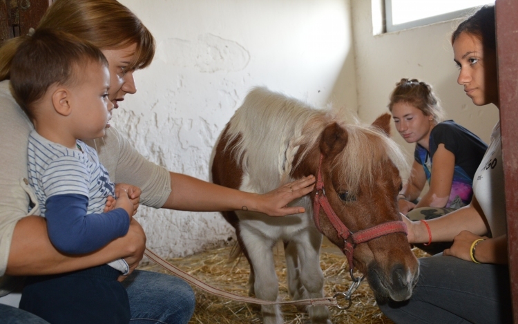 Tökéletes családi kikapcsolódást nyújtott a Mezgés Piknik