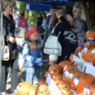 Tömegeket vonzott a Mezgé piknikje a tangazdaságba