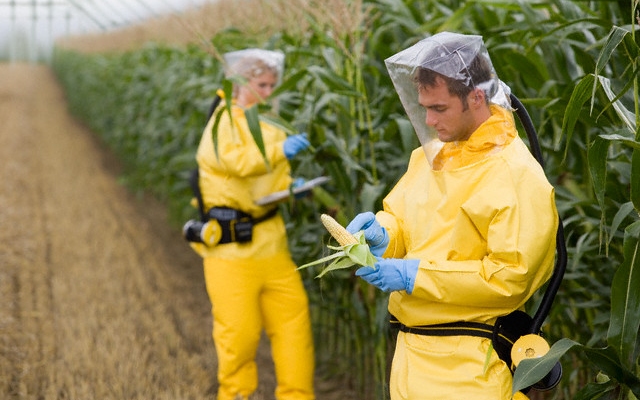 Legyen az unió GMO-mentes övezet!