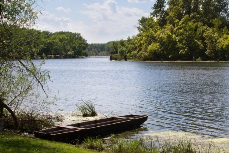 Újjáélesztik a Holt-Tisza és három holtágának élővilágát