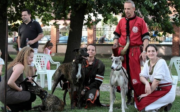 Elődeink ősi vadásztársa: a magyar agár – bemutató a Kurultajon