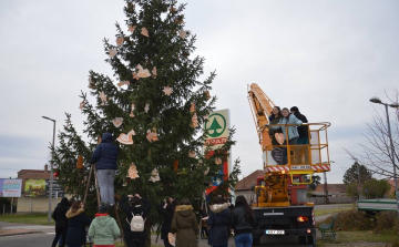 Karácsonyfát keresnek a Petőfi lakótlepre