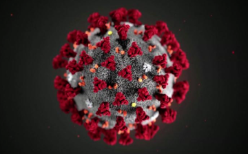 Koronavírus - A világban 22,3 millió a fertőzöttek száma, egy nap alatt 5400-an haltak meg