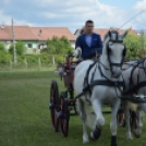 Fogathajtó versenyt rendeztek a Vasas Pályán