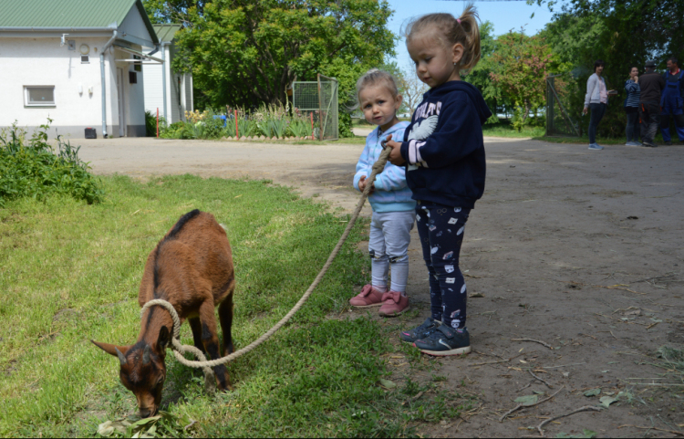 Gyermeknapot tartottak a Tangazdaságban