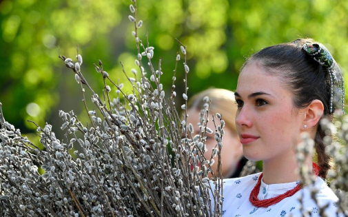 A virágvasárnapon megszentelt barkához több hiedelem fűződik