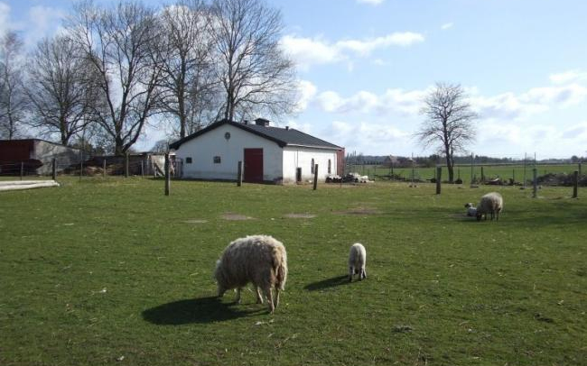 Meghosszabbította az agrártárca a tanyafejlesztési pályázatot