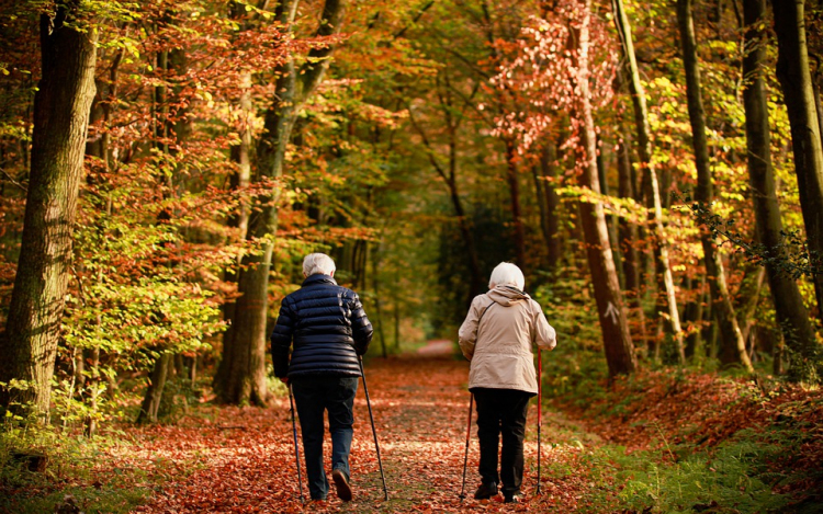 A mozgás gyógyszer