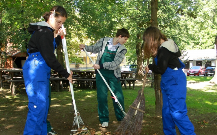 Parkgondozói álláslehetőség