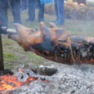 Disznótort rendeztek a Közelszőlőben