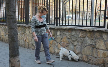 Este 8 után is szabad lesz kutyát sétáltatni