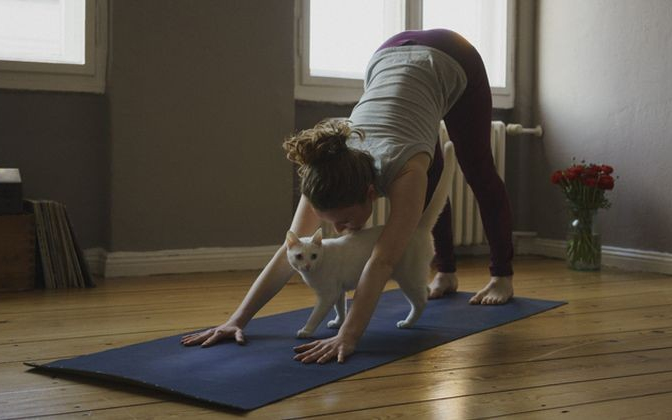 Csökkenti a magas vérnyomást az izmok nyújtása