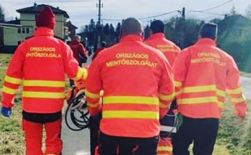 Egy kisfiú mentette meg anyukája életét Bács-Kiskun megyében