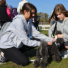 Tömegeket vonzott a Mezgé piknikje a tangazdaságba