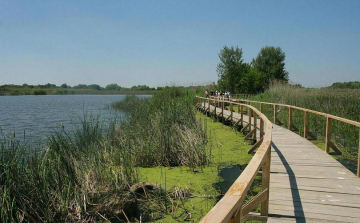 Kincsesládákat rejtettek el a Tisza-tó körül