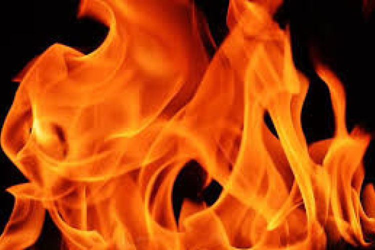 Aljnövényzet ég Kiskunfélegyháza külterületén