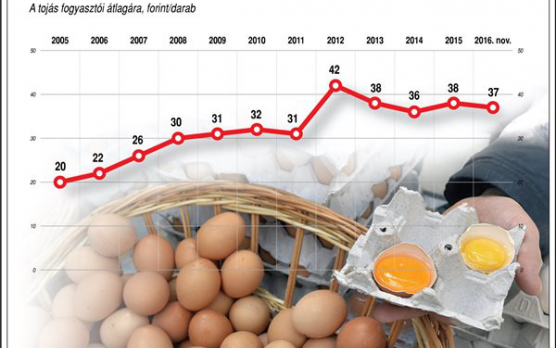 Hiába az adócsökkentés, mégis drágulás vár ránk?