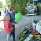 Tömegeket vonzott a Mezgé piknikje a tangazdaságba