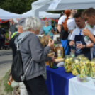 Negyvenegy csapat nevezett a libafőzőversenyre