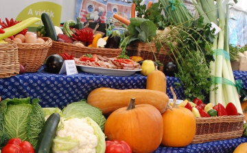 Helyi termékértékesítést támogató pályázati felhívás