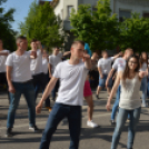 A Zöld nap évről-évre a legnagyobb buli