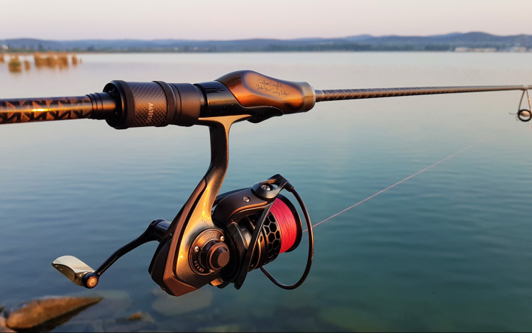 Pecabotokat lopott a félegyházi férfi