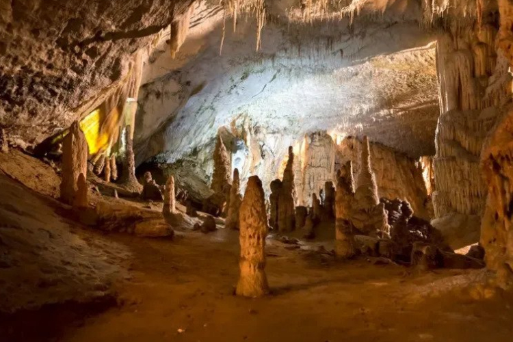 Barlangtúrát és denevérmegfigyelést is tart a Bükki Nemzeti Park