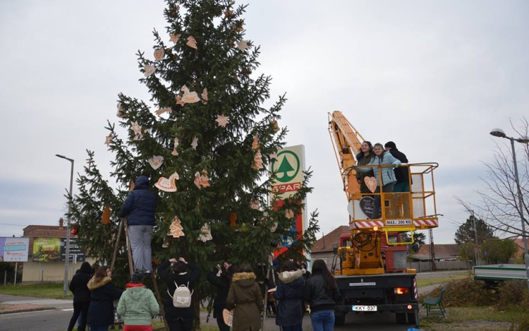Karácsonyfát keresnek a Petőfi lakótlepre