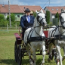 Fogathajtó versenyt rendeztek a Vasas Pályán