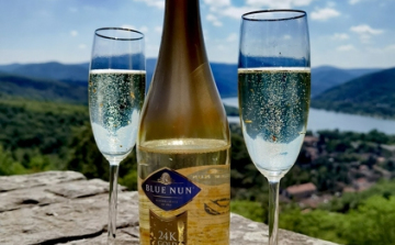 Bővítette kiskunmajsai telephelyét és kapacitását a Grape-Vine Kft.