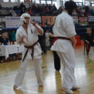 Kiskun Kupa Kyokushin Karate Verseny