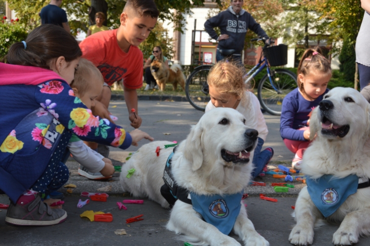 Soha nem találsz náluk különb barátot...