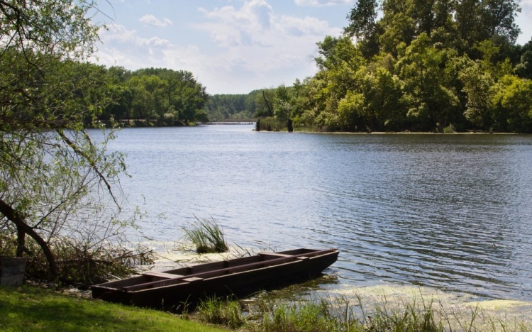 Újjáélesztik a Holt-Tisza és három holtágának élővilágát