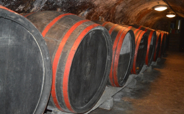 Elegendő mennyiségű bor került a pincékbe